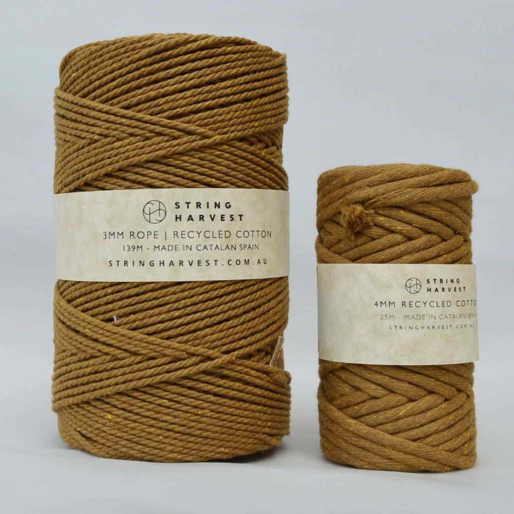 Cotton - String Harvest